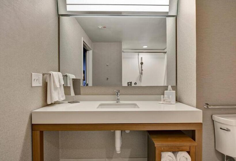 장애인용 디럭스룸, Courtyard By Marriott Jackson Madison