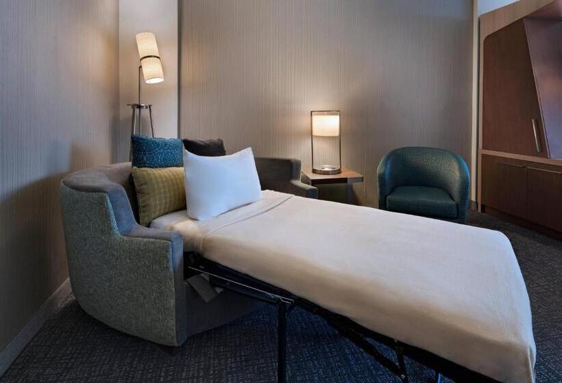 장애인용 디럭스룸, Courtyard By Marriott Jackson Madison