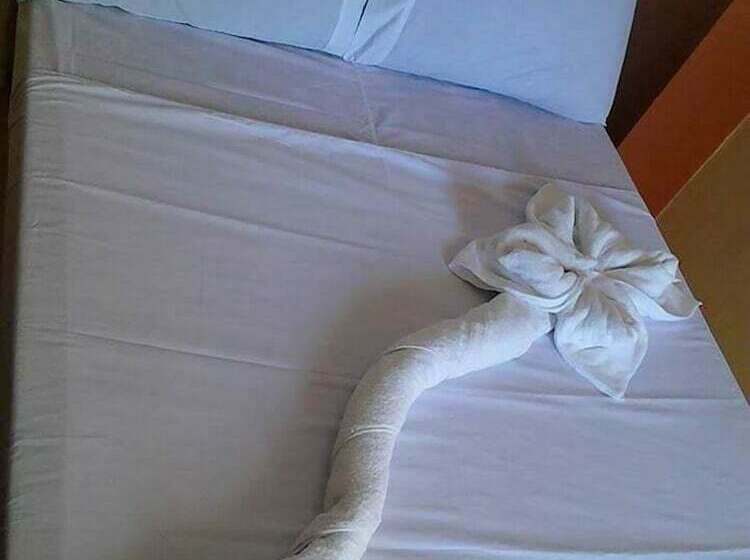 스탠다드 룸, N & F Guest House