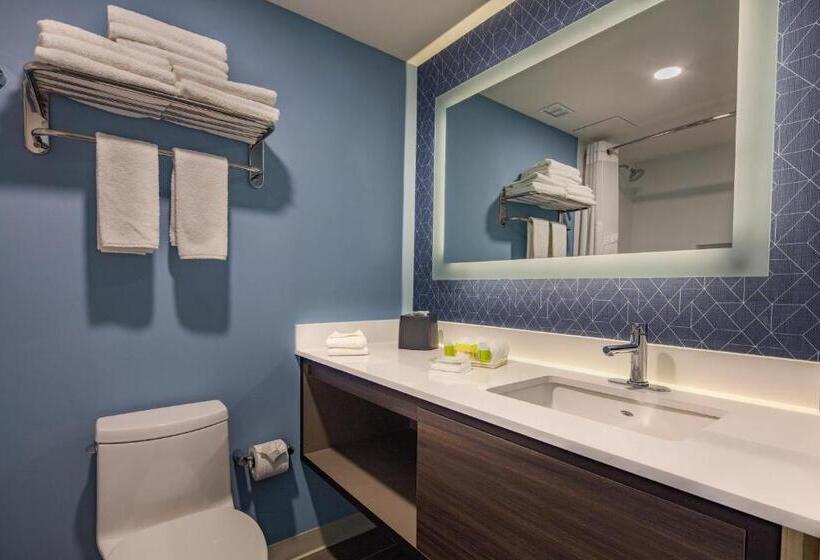 חדר סטנדרט, Holiday Inn & Suites   Aguascalientes, An Ihg