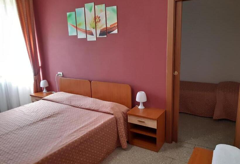 Номер Стандарт, Depandance Hotel Rosa