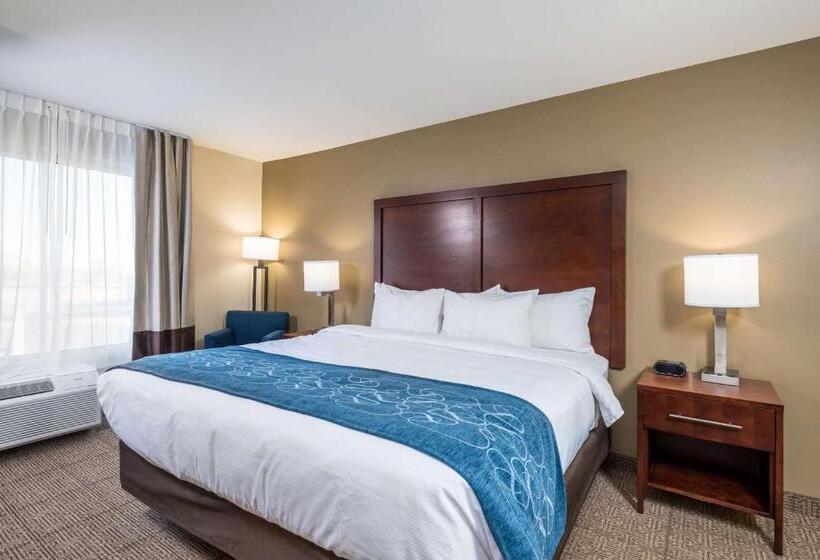 스탠다드 룸 킹사이즈 침대, Comfort Inn Tonopah