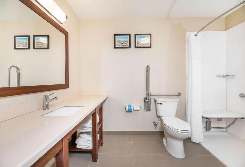 장애인을 위한 킹사이즈 침대 스탠다드 룸, Comfort Inn Tonopah