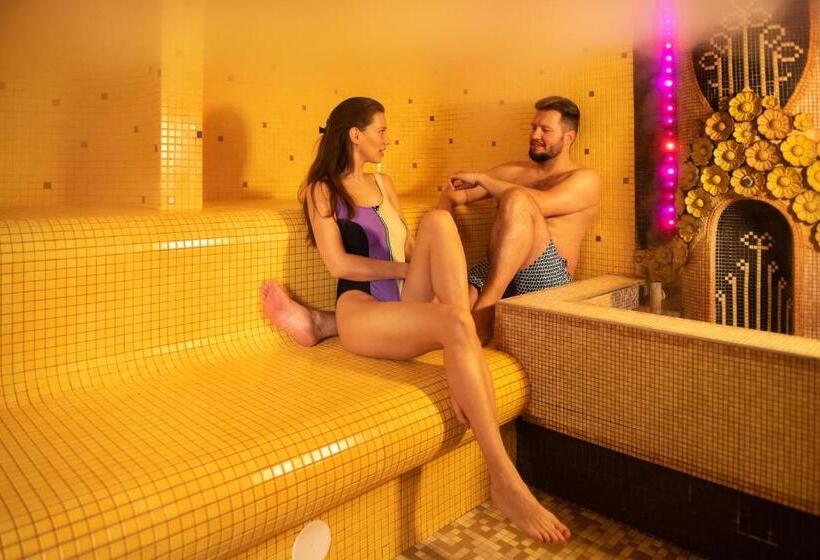 Standard Room with Spa Access, Grand Spa Lietuva Hotel Lietuva
