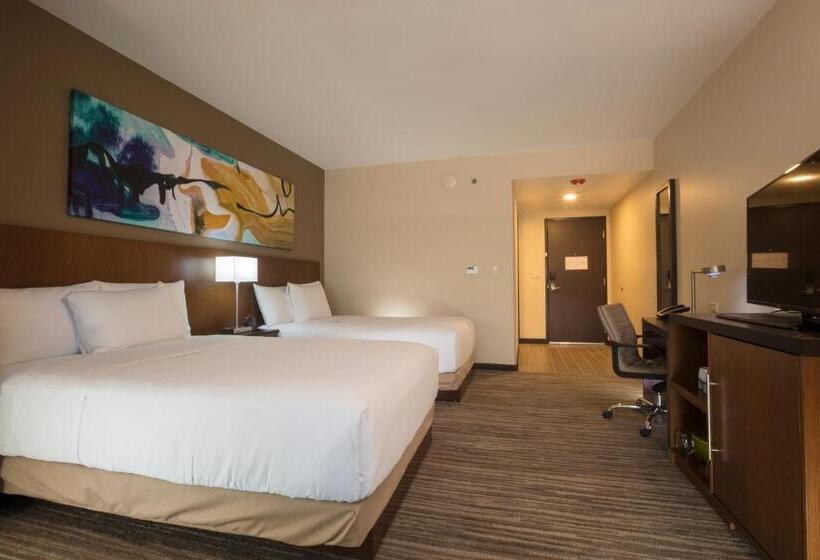 חדר סטנדרט, Hyatt Place Aguascalientes Bonaterra