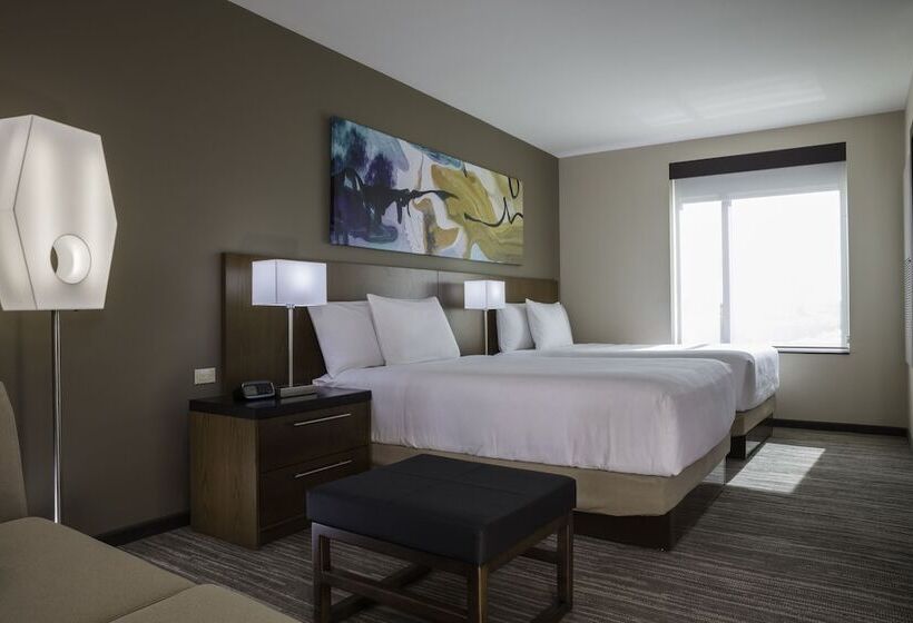 חדר סטנדרט מותאם לאדם עם מוגבלויות, Hyatt Place Aguascalientes Bonaterra