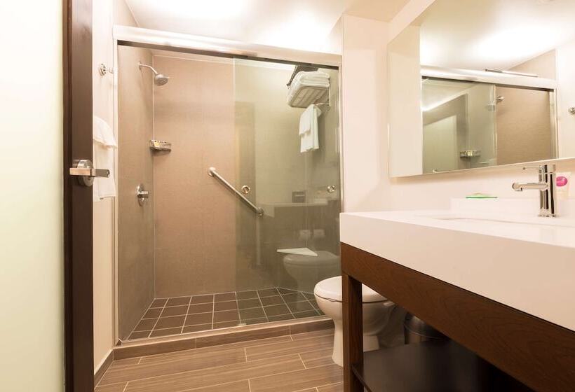 חדר סטנדרט, Hyatt Place Aguascalientes Bonaterra