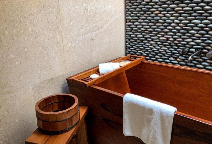 １ベッドルームアパートメント, Nobu Hotel Los Cabos