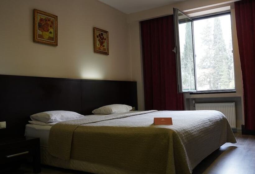 اتاق استاندارد, Arsan Otel