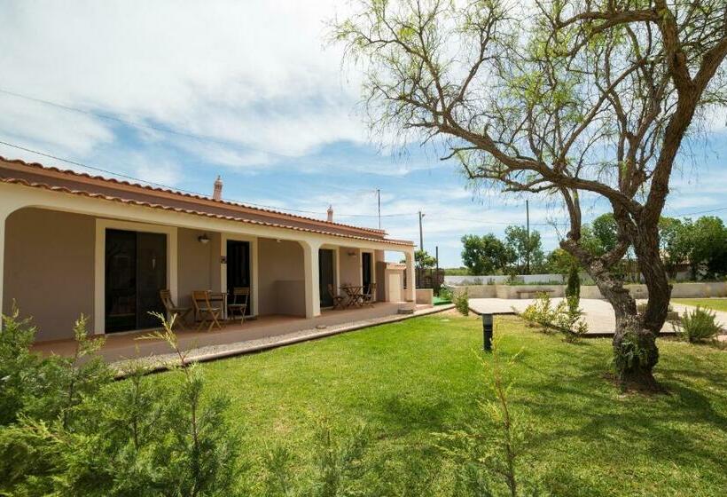 Студия Стандарт, Casa Rosa Montes