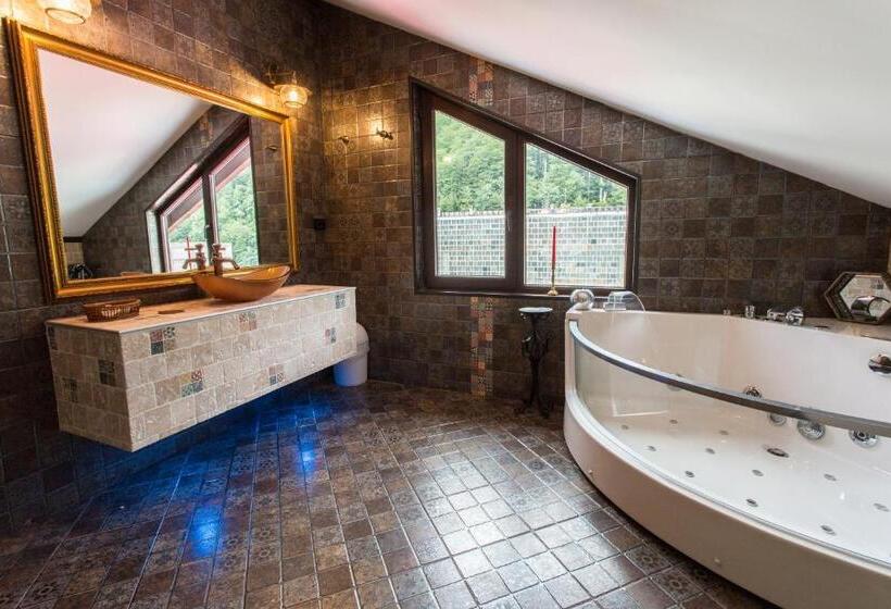 Люкс Повышенной Комфортности, Pension Casa Wenge
