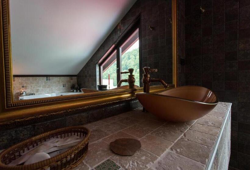Люкс Повышенной Комфортности, Pension Casa Wenge