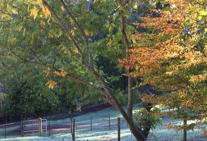 침실 1개 전망 아파트, Brentwood Accommodation B&b Apartments   Yarra Valley