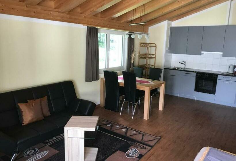 Студия Стандарт, Aladin Apartments St Moritz