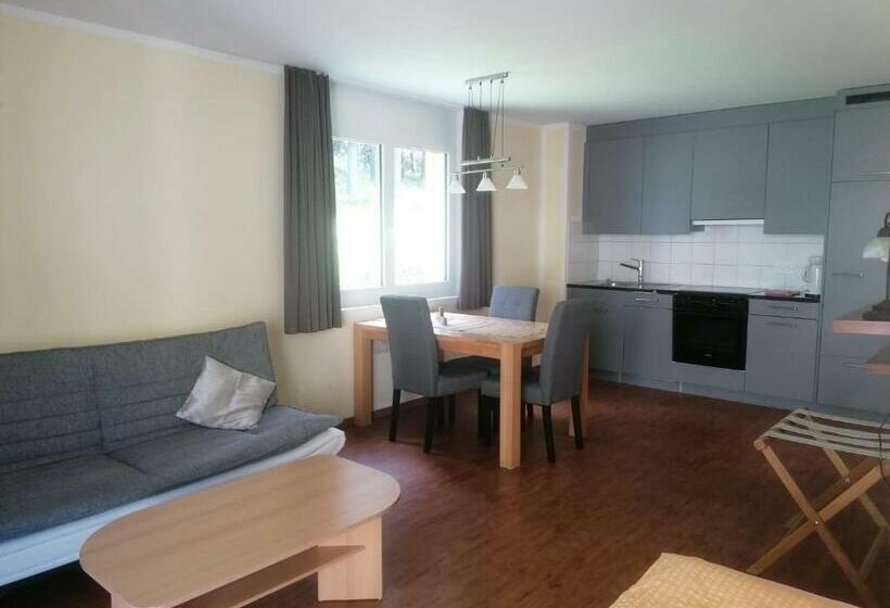 Студия Стандарт, Aladin Apartments St Moritz