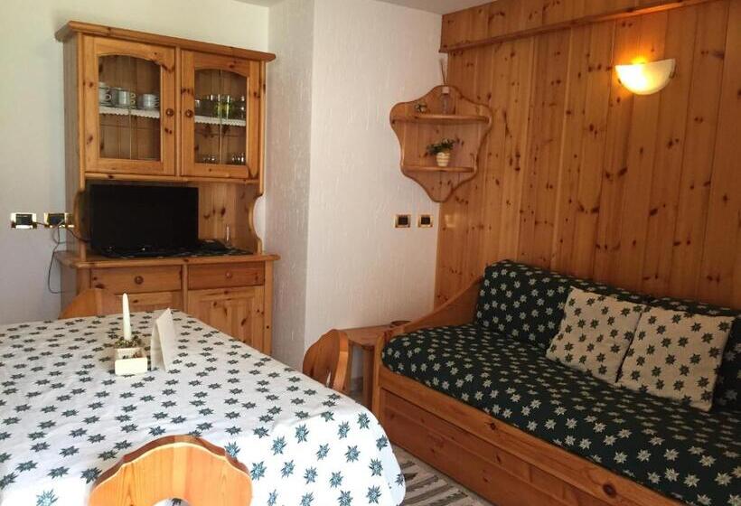 آپارتمان 1 خوابه با چشم‌انداز باغ, Chalet Bucaneve