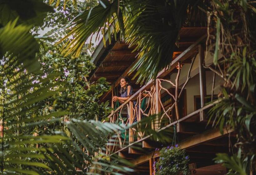 Номер Superior Одноместный, Hostal Las Palmas