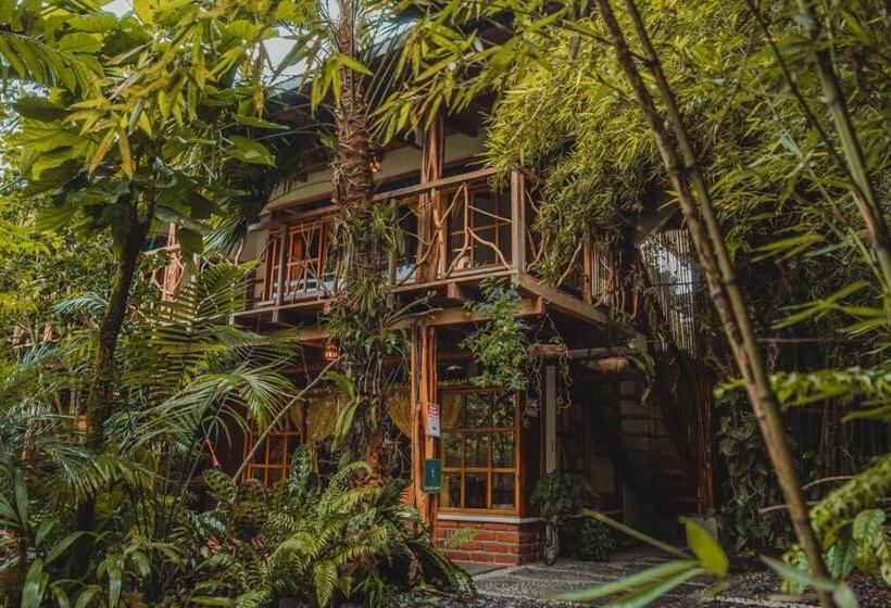 Трехместный Номер Superior, Hostal Las Palmas