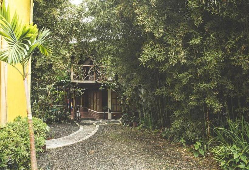 Четырехместный Номер Superior, Hostal Las Palmas