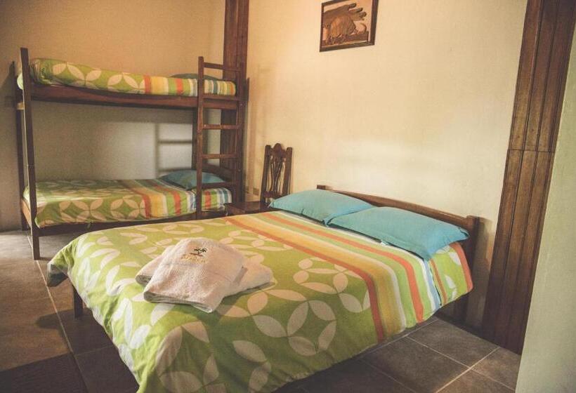 Четырехместный Номер Superior, Hostal Las Palmas