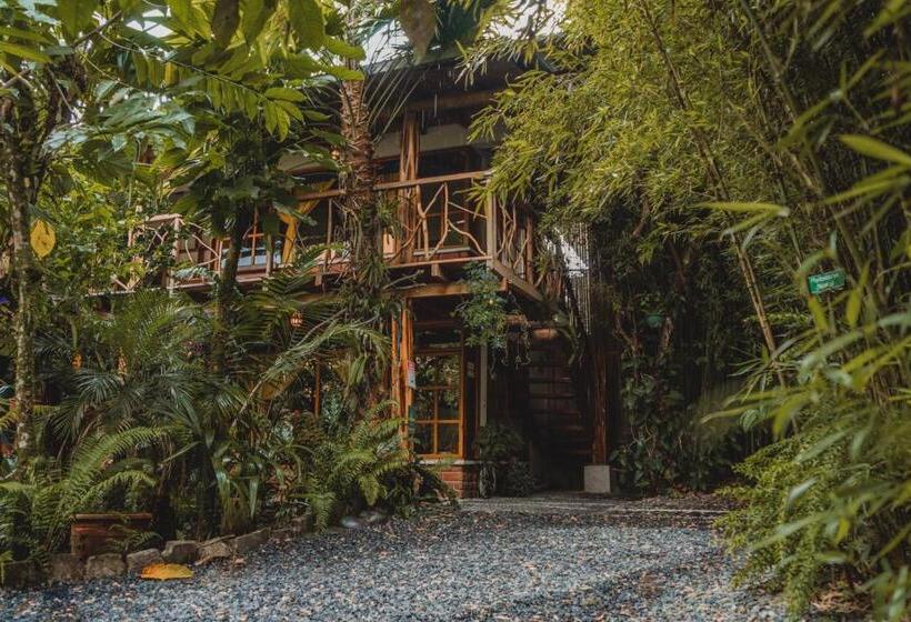 Четырехместный Номер Superior, Hostal Las Palmas
