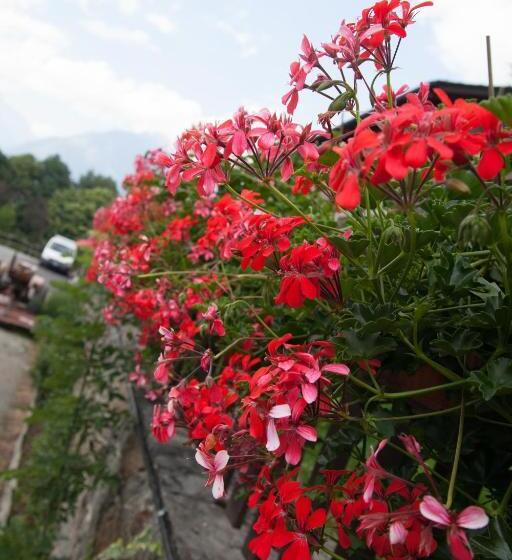 스탠다드 룸 킹사이즈 침대, Agriturismo Al Castagneto