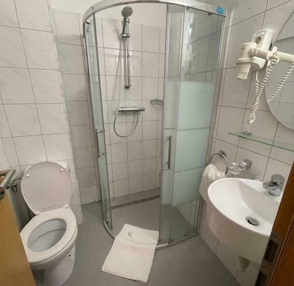 Апартаменты 1 Спальня, Ametist Casa Leului