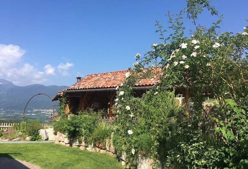 带3个卧室的复式公寓, Agriturismo Alpenvidehof