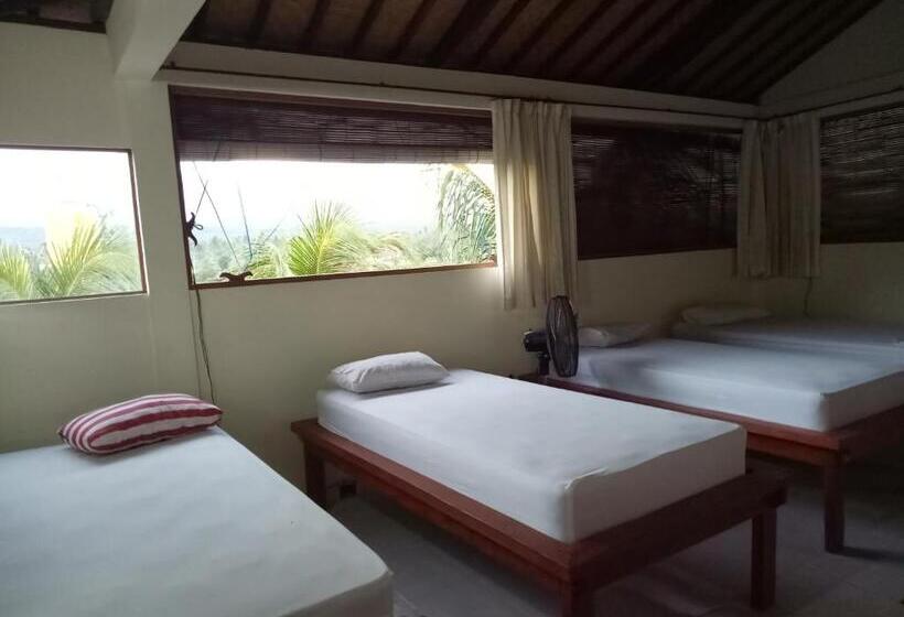 Кровать в Общей Комнате, Amed Stop Inn Homestay, Rooftop Restaurant And Bar