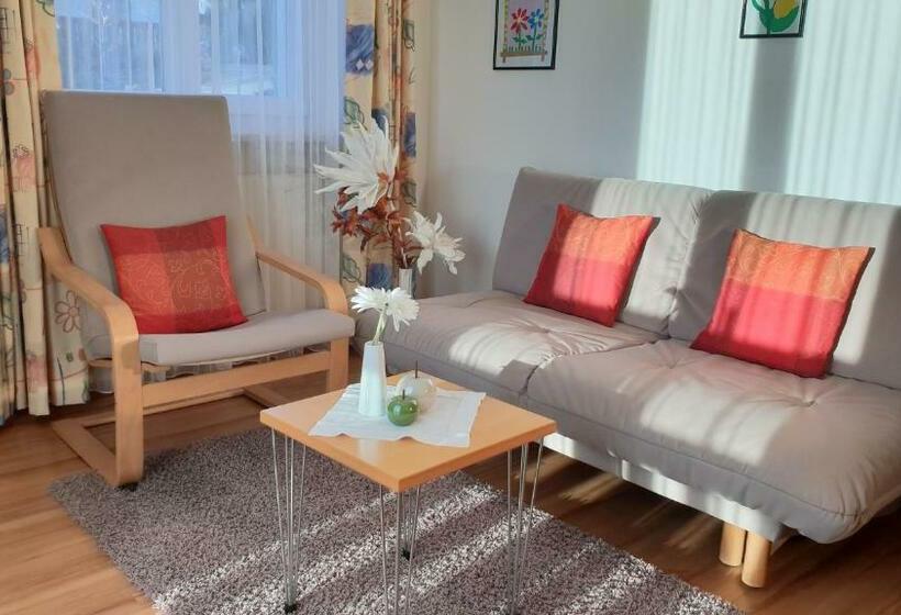 Апартаменты 1 Спальня с Балконом, Appartements Dornach