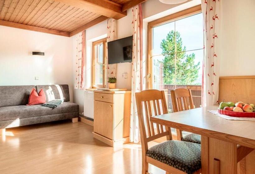 Апартаменты 1 Спальня с Балконом, Prechtlhof In Flachau