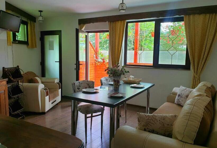 Family flat with terrace, Casa De Vacanta Razvan Si Andrei