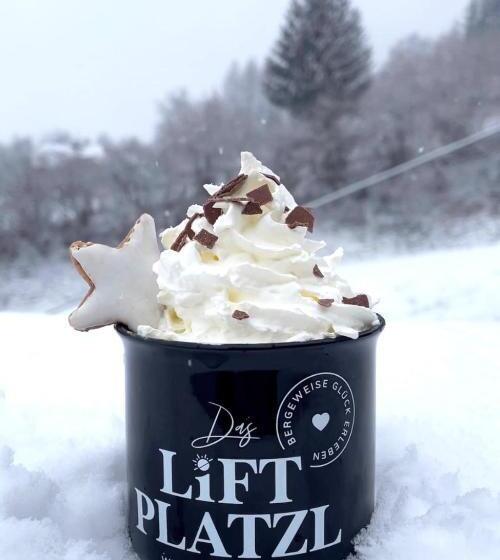 테라스가 있는 2 베드룸 아파트, Das Liftplatzl