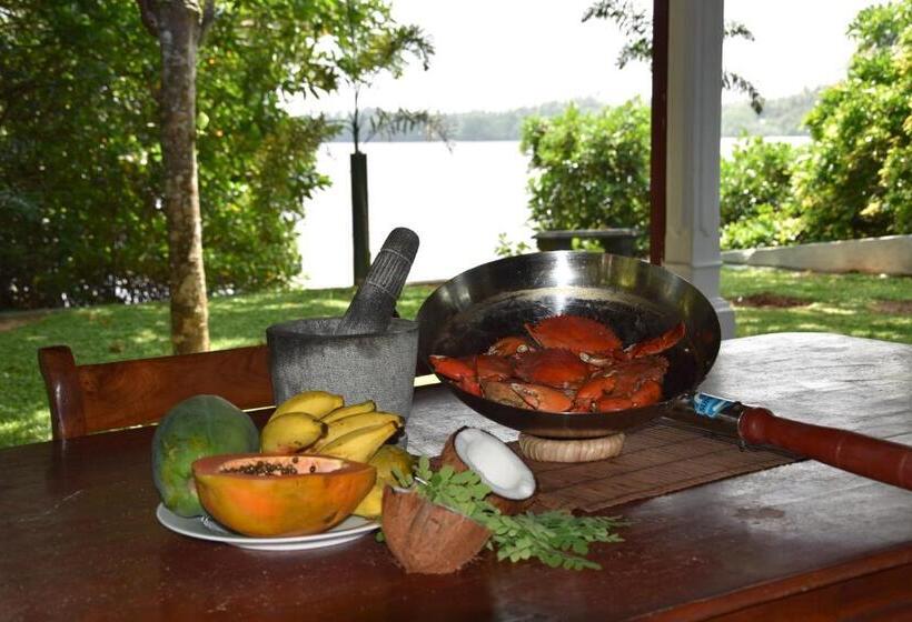 Вилла с 1 спальней и бассейном, Sethra Villa Bentota