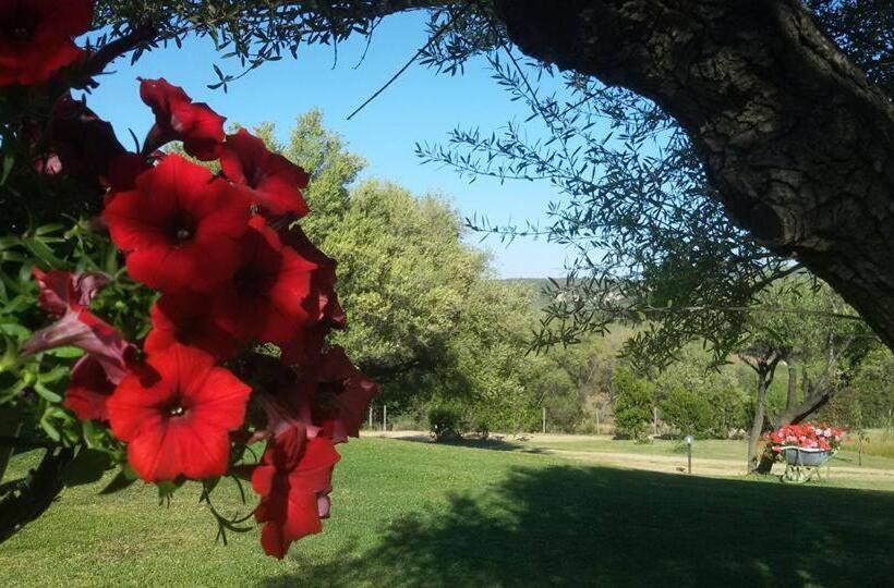 Бунгало Стандарт Вид на Сад, Agriturismo Sa Mendhula