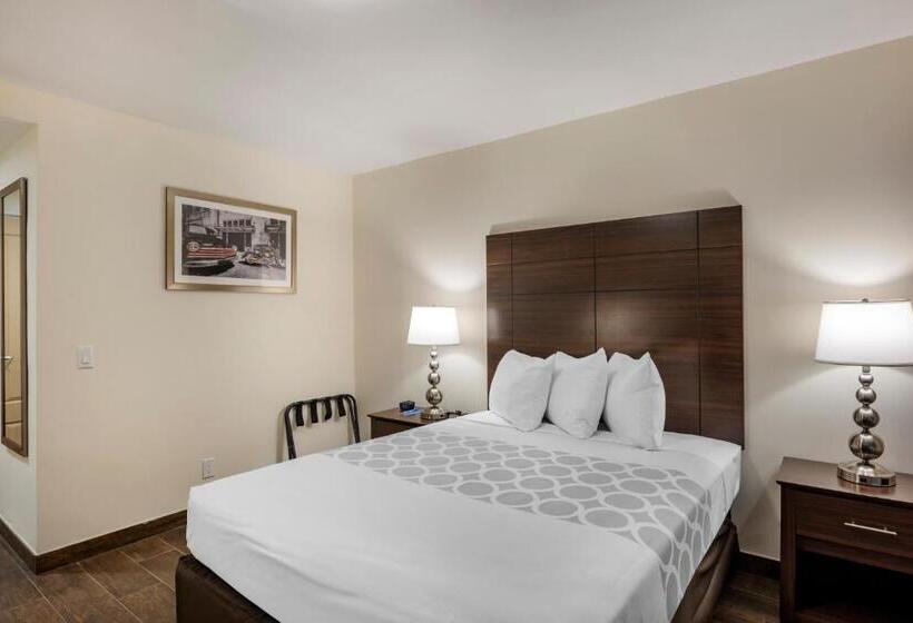 身障者適用キングサイズベッドルーム, Rodeway Inn Near Hollywood Beach