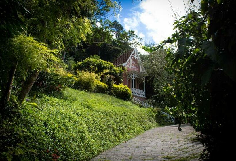 Люкс Вид на Бассейн, Villa Violeta