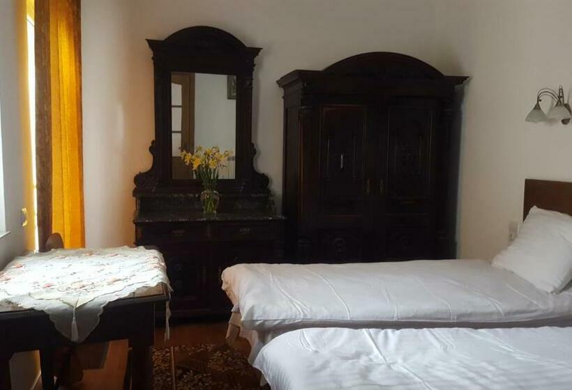 Полулюкс Одноместный с Террасой, Room In An Old House