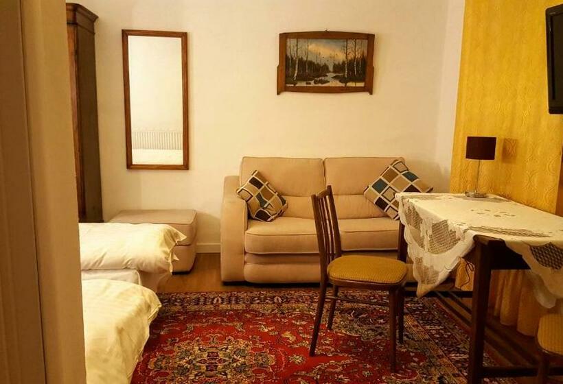 Полулюкс Одноместный с Террасой, Room In An Old House