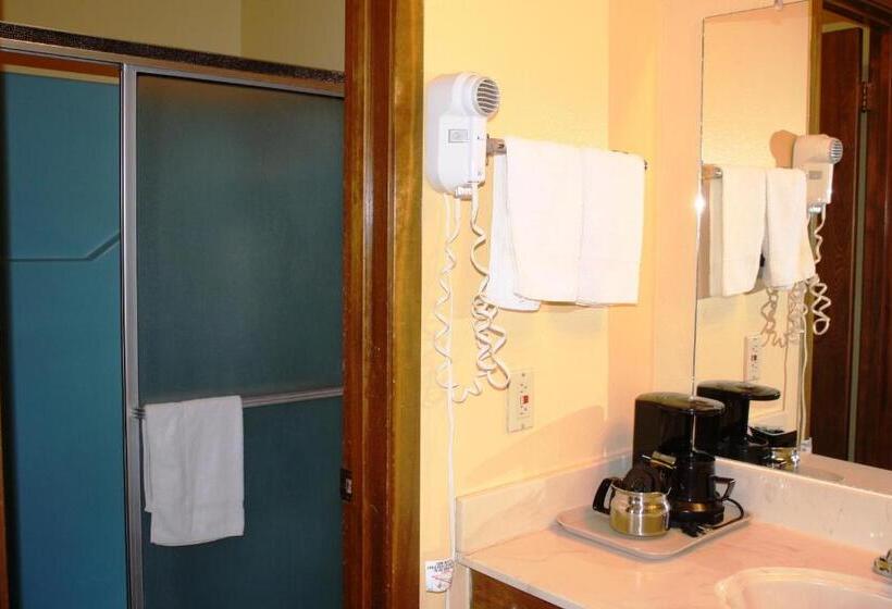Стандартный Номер Кровать Кинг, Lake Palestine Motor Inn