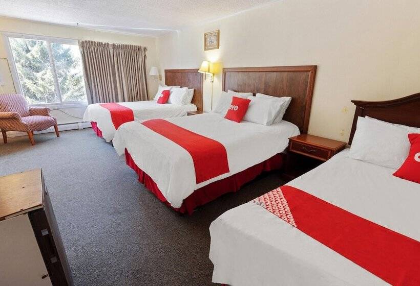 Номер Стандарт, Oyo Hotel Buena Vista Delhi
