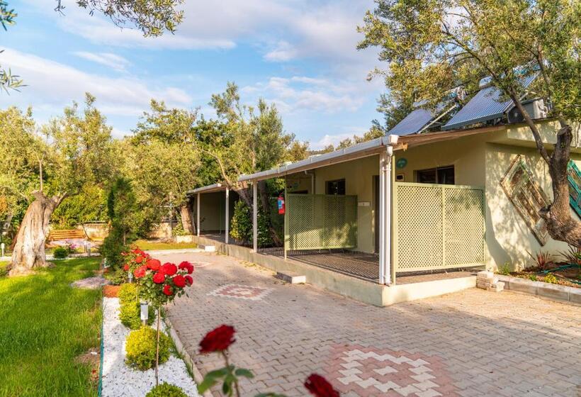 Номер Superior, Kayalar Blue Beach