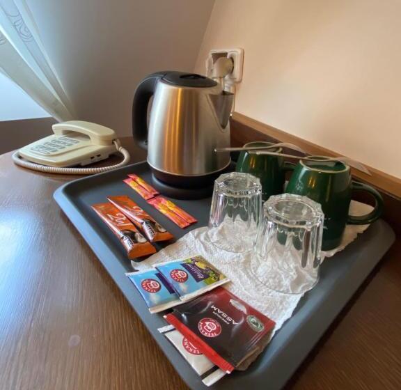 اتاق استاندارد یک نفره, Zámecký Hotel Zlatý Orel
