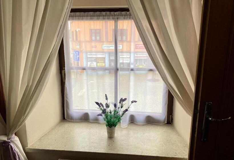 اتاق استاندارد با تخت بزرگ, Zámecký Hotel Zlatý Orel