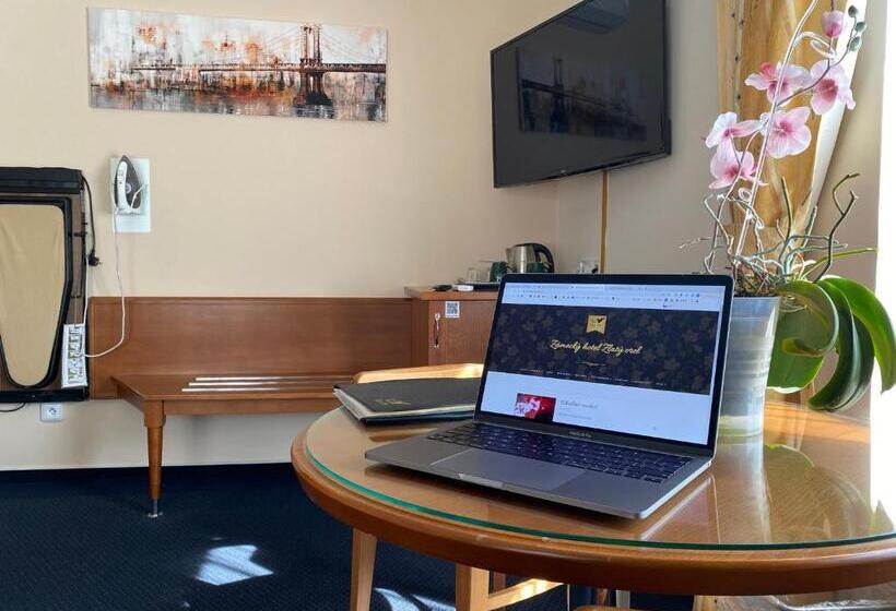 景色の見えるデラックスルーム, Zámecký Hotel Zlatý Orel