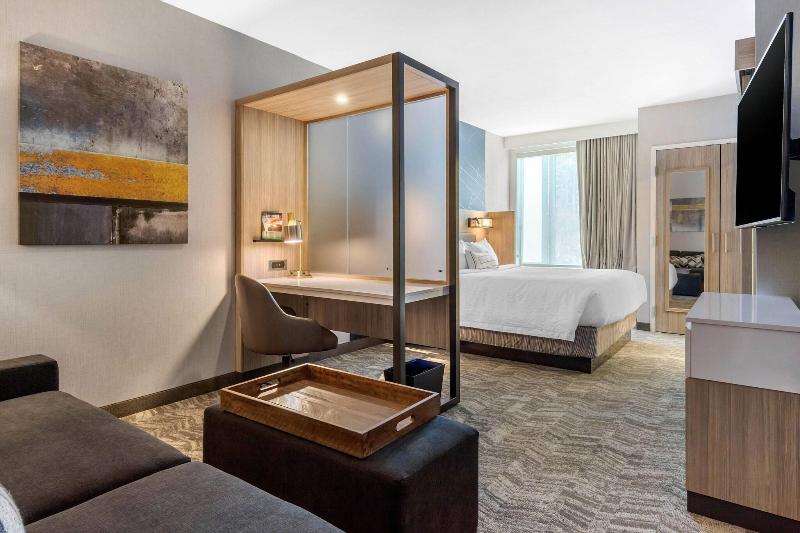 带大床的套房, Springhill Suites Charlotte Southwest