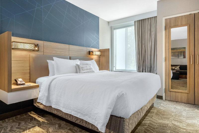 带大床的套房, Springhill Suites Charlotte Southwest