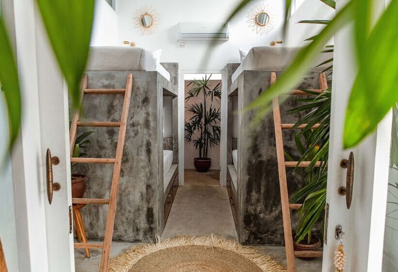 共用房间的床, Dreamsea Canggu   Hostel