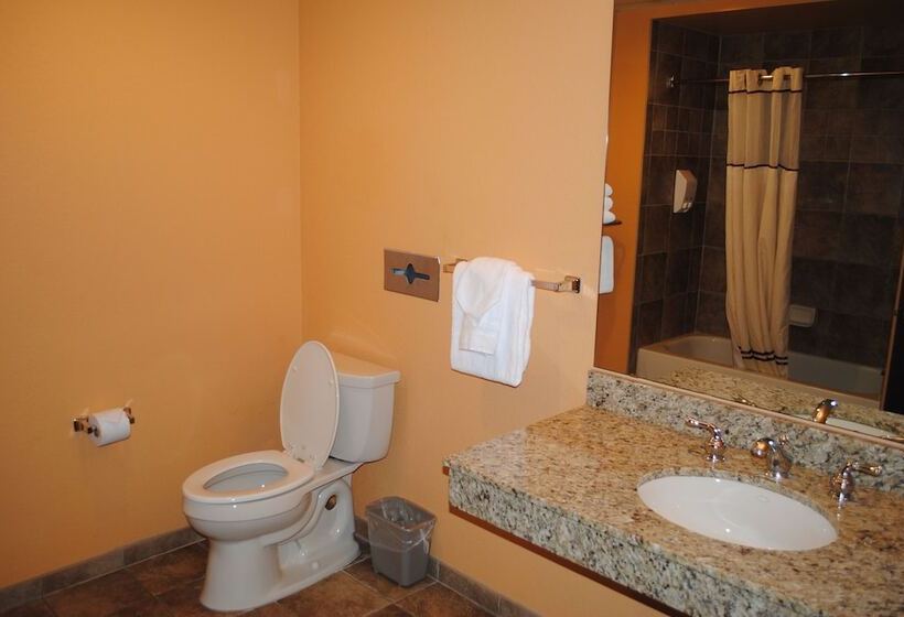 Апартаменты 3 Спальни, Wisconsin Dells Area Condominiums
