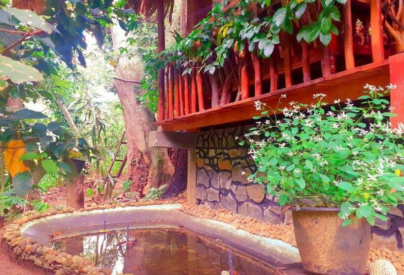 Номер Стандарт Вид на Горы, Jungle Face Inn